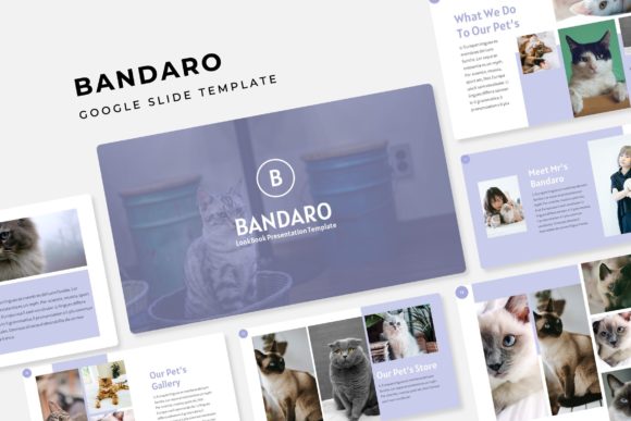 Bandaro Google Slide Template: A Comprehensive Overview
